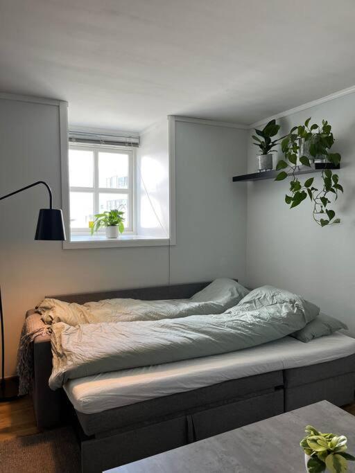 Cozy Ground Floor Apartment Tromso Ngoại thất bức ảnh