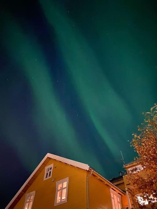 Cozy Ground Floor Apartment Tromso Ngoại thất bức ảnh