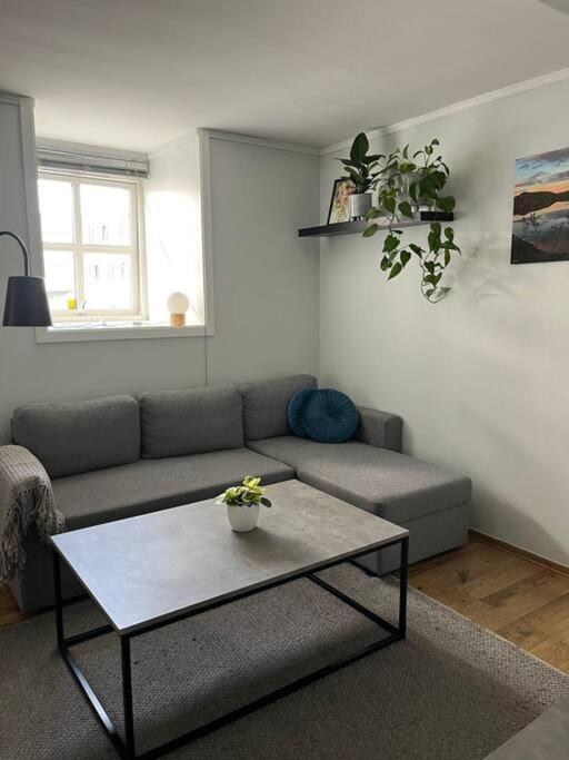 Cozy Ground Floor Apartment Tromso Ngoại thất bức ảnh
