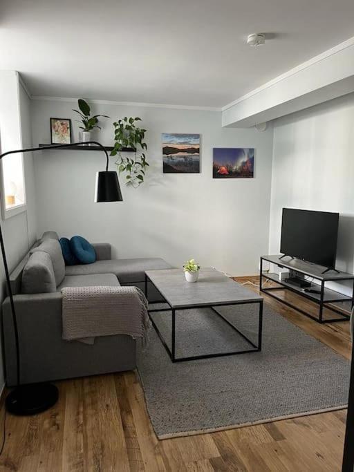 Cozy Ground Floor Apartment Tromso Ngoại thất bức ảnh
