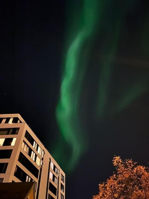Cozy Ground Floor Apartment Tromso Ngoại thất bức ảnh